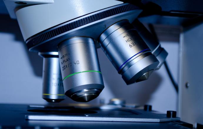 Badania OncoArendi Therapeutics nad innowacyjną platformą leków przeciwnowotworowych został