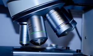 Badania OncoArendi Therapeutics nad innowacyjną platformą leków przeciwnowotworowych został