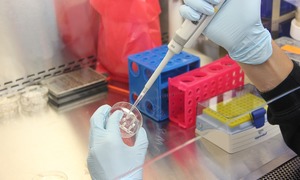 Agencja Badań Medycznych ogłasza drugą edycję konkursu na wsparcie niekomercyjnych badań kl