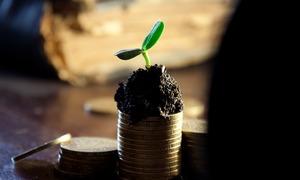 Ranking Forbesa – czy na liście 100 najbogatszych są nazwiska związane z biotechnologią?