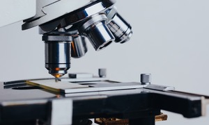 Naukowcy pracują nad szybszą i tańszą metodą produkcji celulozy bakteryjnej