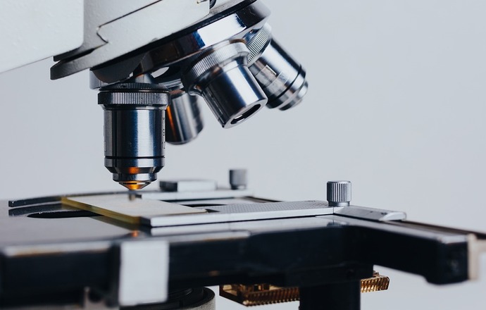 Naukowcy pracują nad szybszą i tańszą metodą produkcji celulozy bakteryjnej