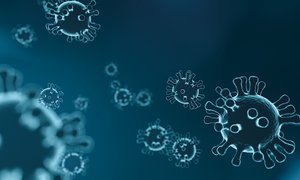 Skąd na Ziemi wzięły się wirusy? Ewolucja samolubnych nukleoprotein