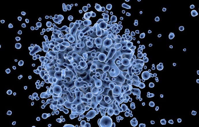 Podpisanie umowy dotyczącej zawiązania spółki biotechnologicznej produkującej implanty umoż