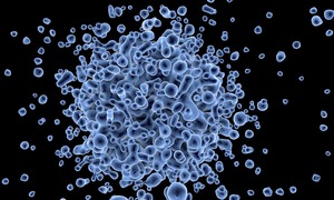 Podpisanie umowy dotyczącej zawiązania spółki biotechnologicznej produkującej implanty umoż