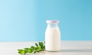 Colostrum i Laktoferyna – istotne składniki wpływające na odporność