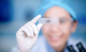 Publikacje o polskim sektorze biotechnologii, m.in. case study OncoArendi Therapeutics Marc