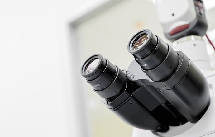 Po raz pierwszy otrzymano obraz z mikroskopii elektronowej o rozdzielczości pozwalającej na