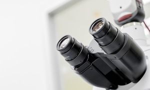 Po raz pierwszy otrzymano obraz z mikroskopii elektronowej o rozdzielczości pozwalającej na