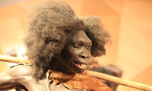 Neandertalski gen zwiększający płodność jest obecny u co trzeciej Europejki