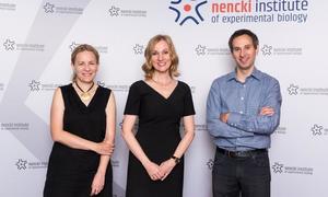 Naukowcy z PAN proponują sposób masowej diagnostyki koronawirusa