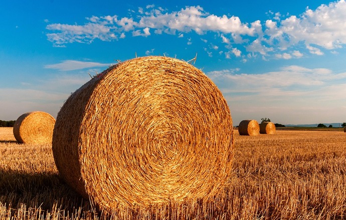 NCBR przekaże 100 mln zł na rozwój rolnictwa 4.0