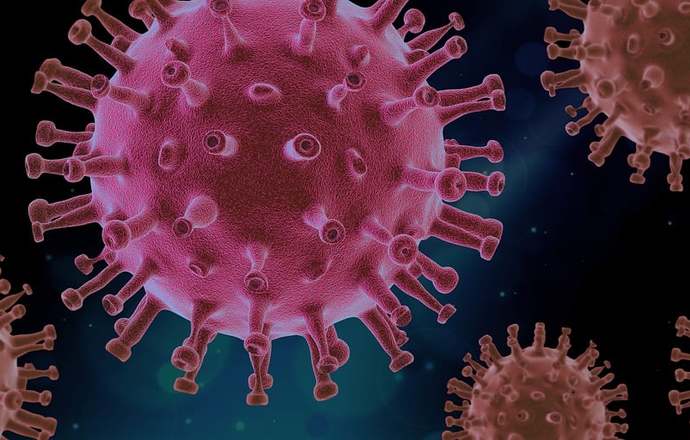 4-genowy test COVID-19 – genXone podpisało umowę współpracy z koreańską spółką Seegene