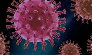 4-genowy test COVID-19 – genXone podpisało umowę współpracy z koreańską spółką Seegene