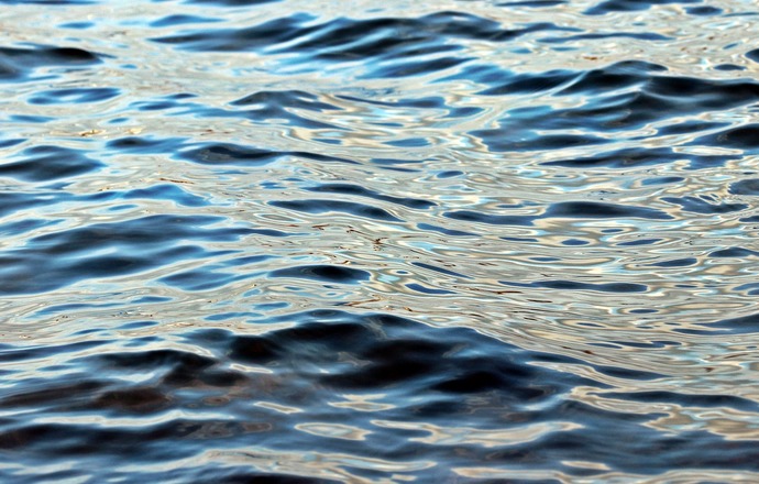 Niebieska biotechnologia i zielony ład, czyli jak projekty związane z oceanem poprowadzą go