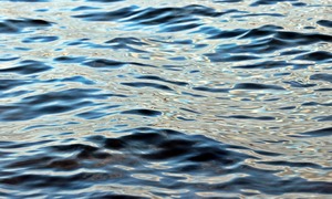 Niebieska biotechnologia i zielony ład, czyli jak projekty związane z oceanem poprowadzą go