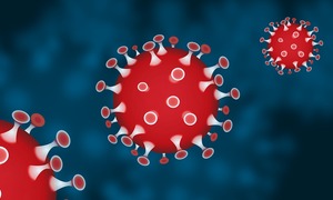 OncoArendi Therapeutics rozpoczyna współpracę naukową z wiodącym światowym instytutem badaw