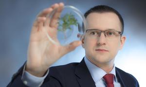 Boruta-Zachem planuje skokowy wzrost wartości grupy w ciągu 2 lat. Kosmetyki naturalne i ag