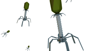 PhageAI, pierwsza na świecie inteligentna platforma do analizy bakteriofagów, ma w bazie ju