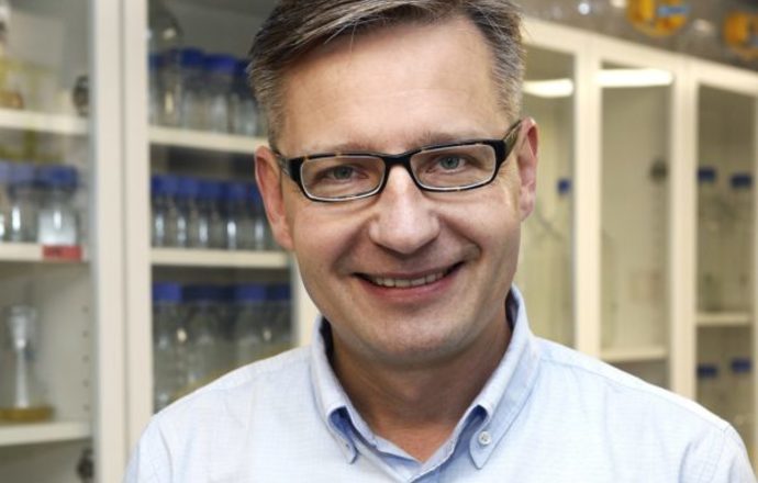 Skąd się biorą ogony w mRNA koronawirusa?