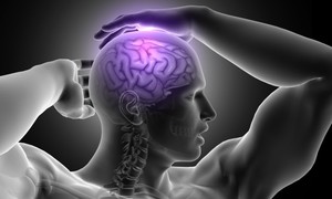 Potencjał terapeutyczny kwasu galusowego w leczeniu choroby Alzheimera