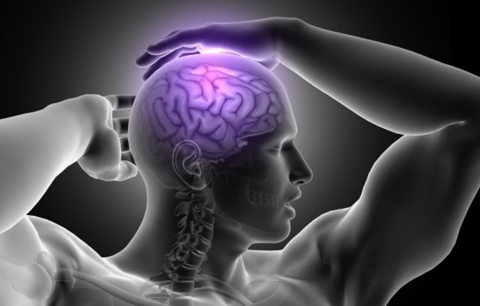 Potencjał terapeutyczny kwasu galusowego w leczeniu choroby Alzheimera
