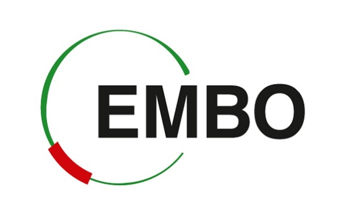 Troje polskich naukowców laureatami EMBO Installation Grants