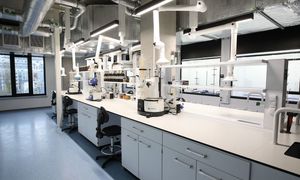 OncoArendi Therapeutics otworzy w tym roku nowoczesne laboratorium w Łodzi i wzmocni kompet