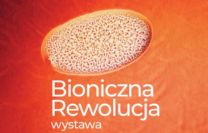 Bioniczna Rewolucja – fascynująca opowieść o powstawaniu 3D bionicznej trzustki