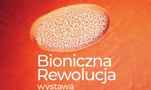 Bioniczna Rewolucja – fascynująca opowieść o powstawaniu 3D bionicznej trzustki