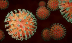 EMA rozpoczęła ocenę leku opartego na przeciwciałach klonalnych GSK i Vir Biotechnology
