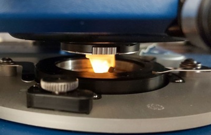 Badania mechaniki komórek czynią chemioterapię bardziej przyjazną