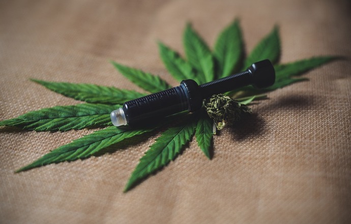 Olejek CBD skuteczny w leczeniu boreliozy