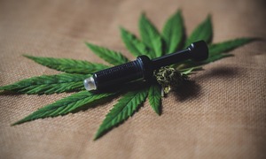 Olejek CBD skuteczny w leczeniu boreliozy