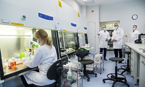Dyrektor NCBR z wizytą w siedzibie Ryvu Therapeutics