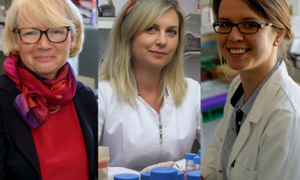 Badaczki z Gdańska pracują nad skuteczną szczepionką przeciw wirusom HCV i HBV