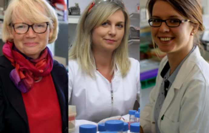 Badaczki z Gdańska pracują nad skuteczną szczepionką przeciw wirusom HCV i HBV