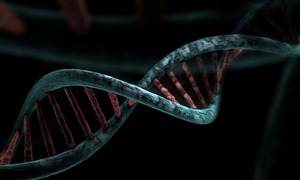 Krajowi producenci leków będą rozwijać technologię RNA