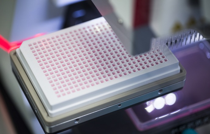 Galapagos skorzystał z prawa opcji do licencjonowania programu Ryvu Therapeutics o potencja