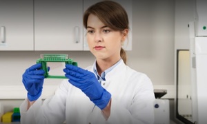 Bioceltix bliżej badań klinicznych na atopowe zapalenie skóry u psów