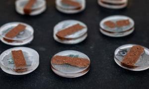 Termoizolacyjne materiały ceramiczne z fusów po kawie – wynalazek polskiej badaczki
