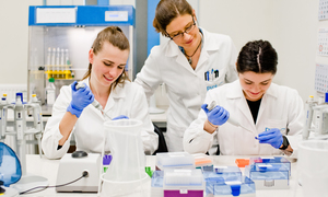 Pure Biologics rozpoczyna badania in vivo w projekcie PB004
