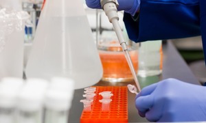 FamiCordTx ma pozytywną opinię Komisji Bioetycznej dla badania klinicznego z produktem CAR-