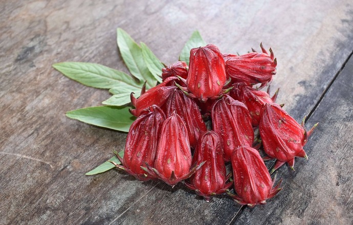Ekstrakt z hibiskusa – właściwości oraz zastosowanie w przemyśle kosmetycznym