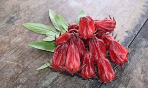 Ekstrakt z hibiskusa – właściwości oraz zastosowanie w przemyśle kosmetycznym
