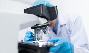 Badania kliniczne ważną częścią innowacyjnej gospodarki. Branża czeka na wejście w życie us