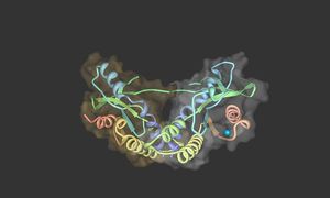 Exelixis i Ryvu Therapeutics zawierają wyłączną umowę licencyjną w celu opracowania nowator