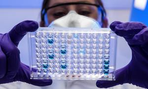 Badanie oceny działania wyrobów medycznych do diagnostyki in vitro