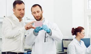 Bioceltix pozyskał 4,2 mln zł z emisji akcji, zapewniając finansowanie dla trzech kluczowyc
