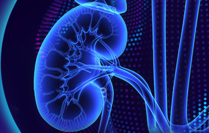 Doctor.One laureatem pierwszego konkursu w ramach Warsaw Health Innovation Hub – #Nephroher